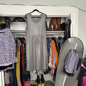 Anthropologie Dolan Metallic Midi Dress